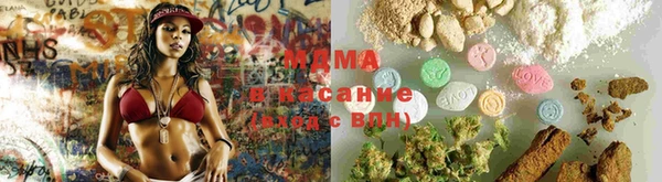 ПСИЛОЦИБИНОВЫЕ ГРИБЫ Баксан