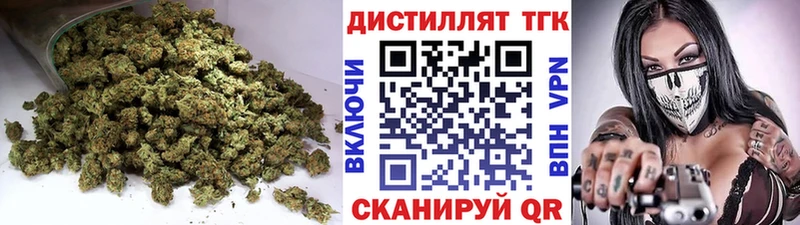 Купить где  Ярцево  ТГК концентрат 
